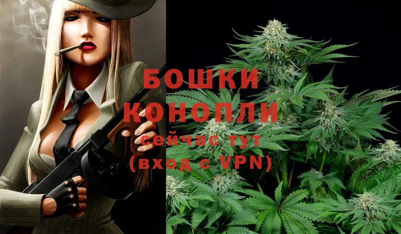 Каннабис Ganja  blacksprut маркетплейс  Пошехонье 